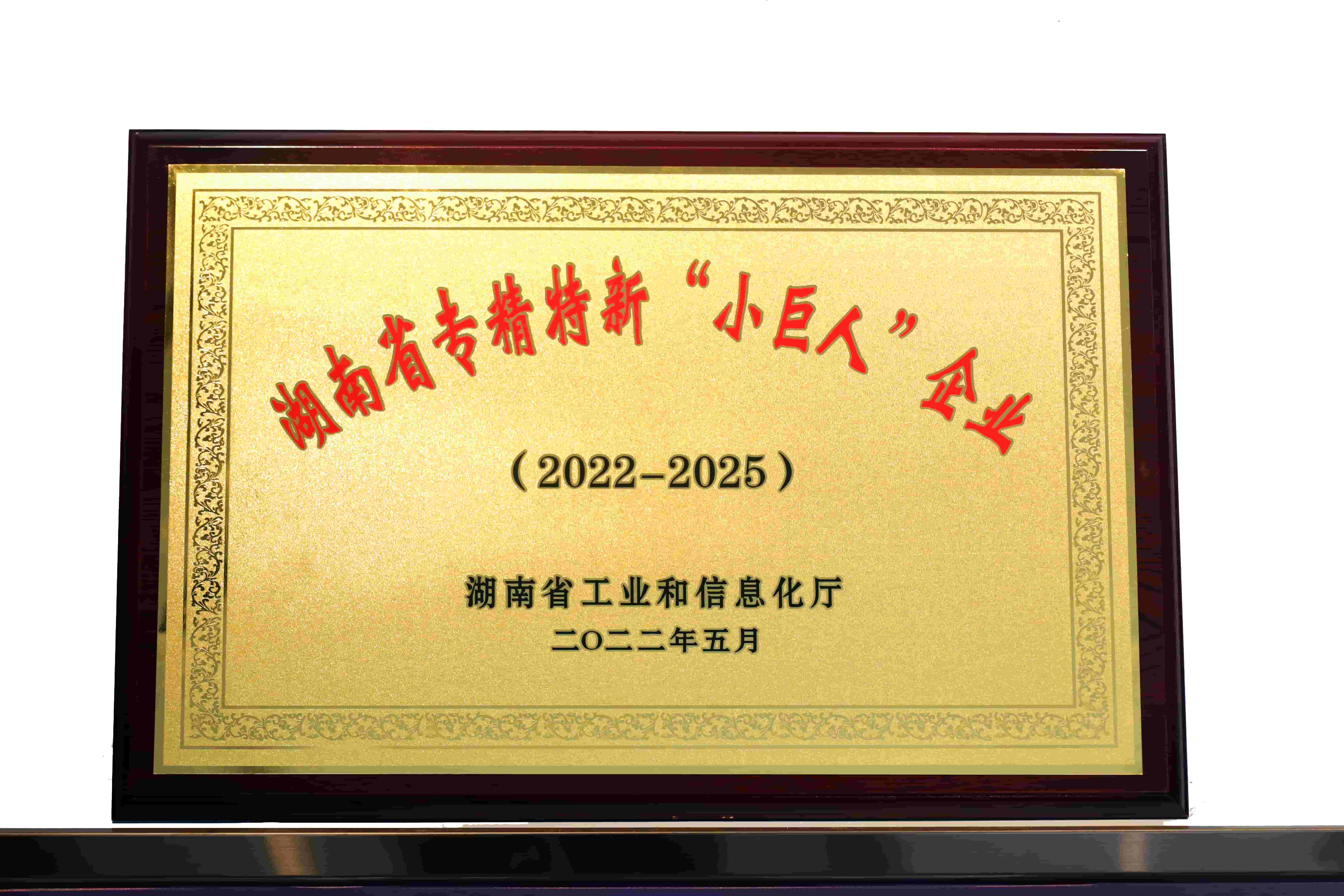 2022 年：获评湖南省专精特新“小巨人”企业